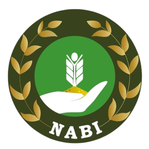 Nabi